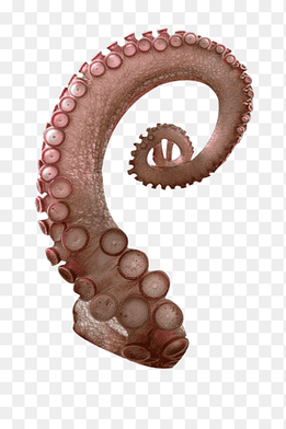 pink octopus tentacles spiral creative sucker, pink, spiral png thumbnail