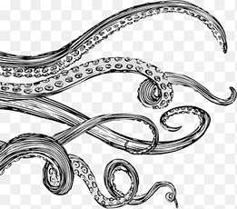 gray octopus, Tentacle Octopus Drawing Sticker, tentacles, glass, label png thumbnail