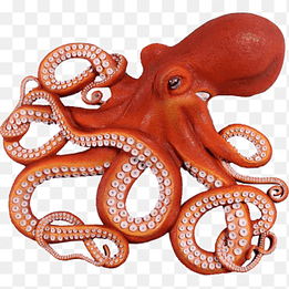 Giant Pacific octopus Fishing Drawing, Fishing, animal, sports png thumbnail