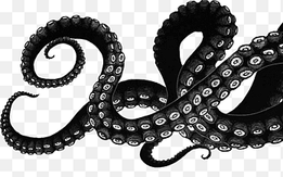 white and black octopus, Octopus Squid Drawing Tentacle Art, Sea, monochrome, tentacle png thumbnail