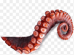 octopus tentacle illustration, Octopus Squid Jellyfish Tentacle Polyp, octopus Tentacles, heart, ocean png thumbnail