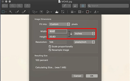 how to enlarge a picture for printing in preview width height