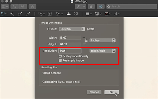 how to enlarge a picture for printing in preview resolution