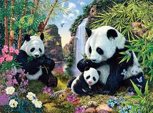 Panda Bear Photos