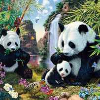 Panda Valley by MGL Meiklejohn Graphics Licensing