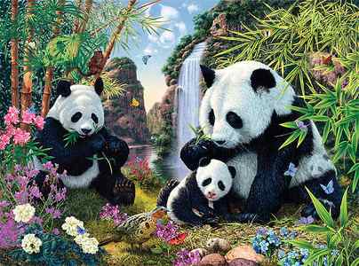 Wall Art - Photograph - Panda Valley by MGL Meiklejohn Graphics Licensing