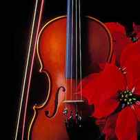 Violin and Poinsettia by Garry Gay