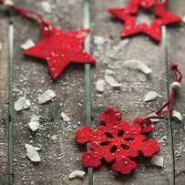 Poinsettia With Snowflakes by Kemi H Photography