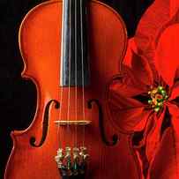 Violin And Poinsettia by Garry Gay
