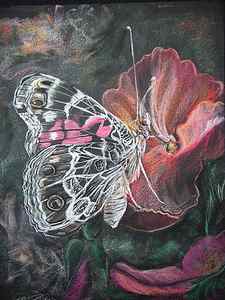 Wall Art - Drawing - Painted Lady on a pansy by Bonnie Peacher