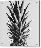 Pineapple Black & White 02 by 1x Studio Iii