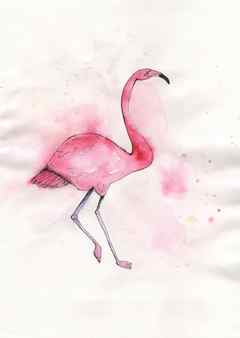 Watercolor drawing in the style of naive pink flamingo stands on one leg Stock Photo