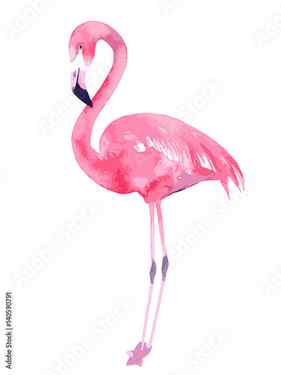 Canvas Print Watercolor flamingo. Painted image. Vector illustration