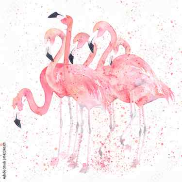 Wallpaper Mural Watercolor flamingos with splash. Painting image