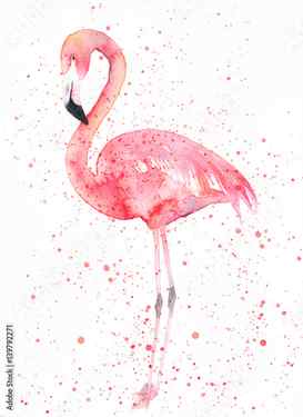 Canvas Print Watercolor flamingo with splash. Painting image