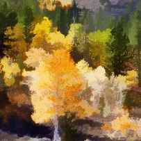 Fall in the Sierra IV by Carol Leigh
