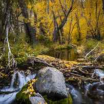 Fall at McGee Creek by Cat Connor