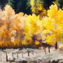 Fall in the Sierra by Carol Leigh