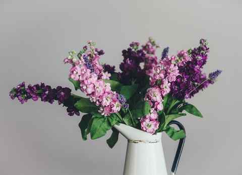 a vase with purple and green flowers - Download Free Stock Photos Pikwizard.com