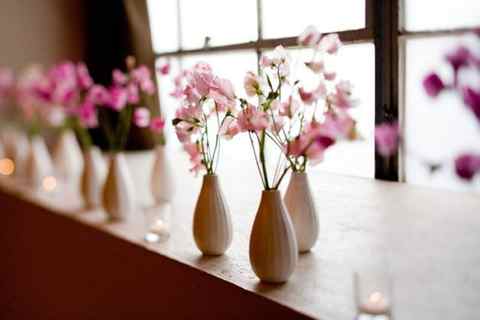 a row of vases filled with pink flowers - Download Free Stock Photos Pikwizard.com