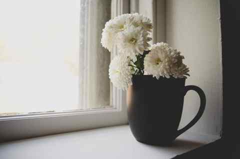 a vase with flowers sitting on a window sill - Download Free Stock Photos Pikwizard.com