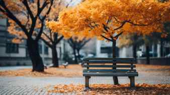 An empty park bench under an orange tree in the fall