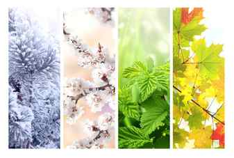 Four seasons of year set of vertical nature banners with winter spring summer and autumn scenes nature collage with seasonal scenics copy space for text