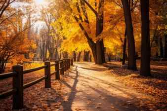 A scenic pathway surrounded by vibrant autumn foliage showcasing the golden hues of the season generative ai