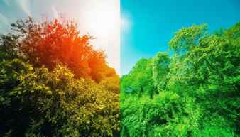 Green tree stands tall in vibrant meadow generated by artificial intelligence