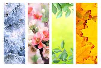 Four seasons of year set of vertical nature banners with winter spring summer and autumn scenes copy space for text