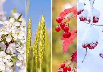 Collage of four seasons Stock Photo