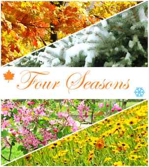 Four seasons collage with space for text winter spring summer autumn