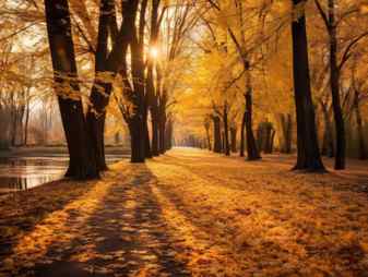 Rows of trees lining long empty park path or footpath in the autumn fall generative ai