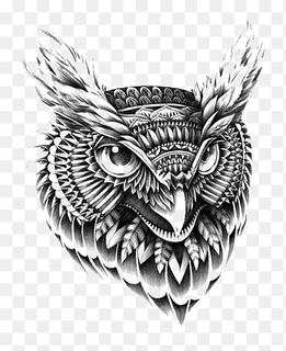 black owl, Owl Drawing Ornament Illustrator Illustration, owl, white, animals png thumbnail