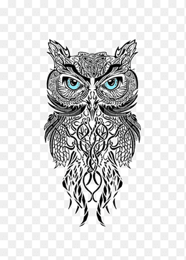 Owl Man