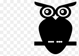 Black-and-white Owl, owls, animals, owl png thumbnail