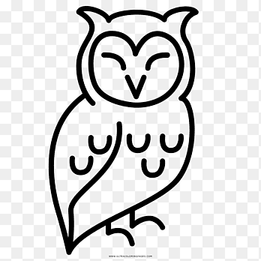 Drawing Coloring book Little Owl Black and white, coruja, love, child png thumbnail