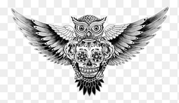 3, black and white owl, png thumbnail