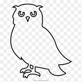 Little Owl Black and white Drawing Coloring book, owl, white, animals png thumbnail