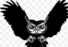 Owl Bird Black and white Desktop, owl, animals, vertebrate png thumbnail