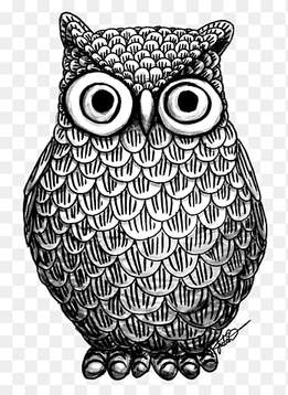 Black-and-white Owl Drawing Black and white Bird, owl, animals, monochrome png thumbnail