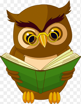 Owl Animated cartoon Drawing Animation, Owl with Book, brown owl reading book illustraion, vertebrate, cartoon png thumbnail