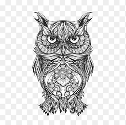 Owl Tattoo Drawing Body art Sketch, Tattoo, black and white owl illustration, poster, vertebrate png thumbnail