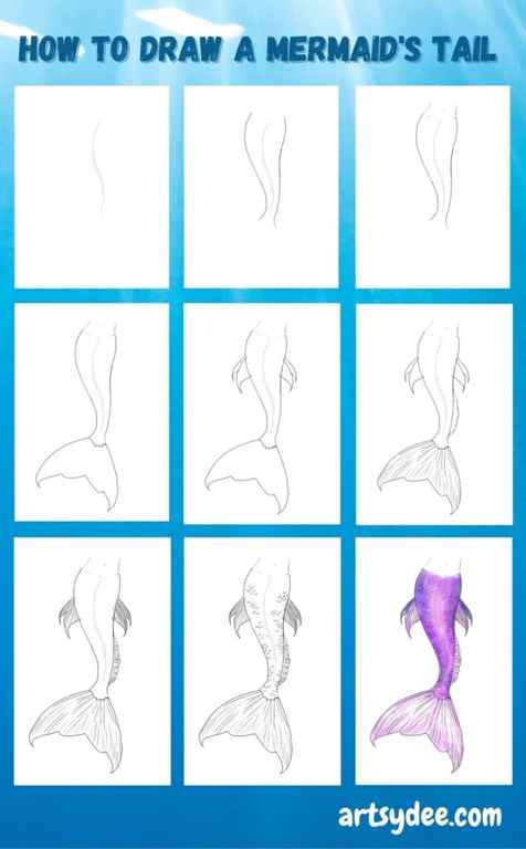 infographic How to Draw a Mermaid Tail step by step