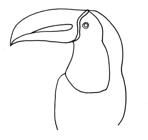 How to draw a toucan step 5
