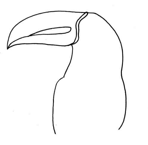 How to draw a toucan step 4