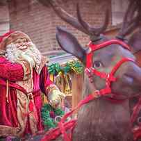 Santa Claus and his Reindeer by Carol Japp