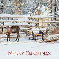 Waiting for Santa, reindeer sleigh, Merry Christmas by Delphimages Photo Creations