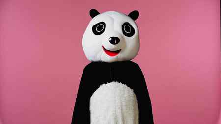 Человек Черно Белом Костюме Медведя Панды Изолирован Розовый — стоковое фото