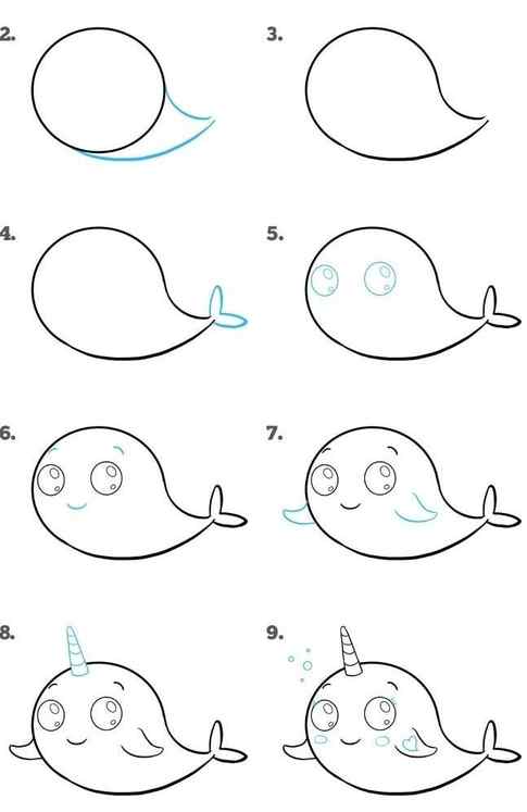 How to Draw Cute Whale Step by Step Easy for Beginners